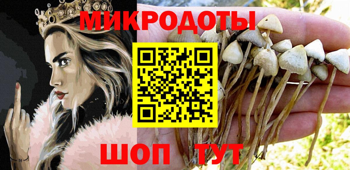 Галлюциногенные грибы мицелий  Вход с VPN  Егорьевск 